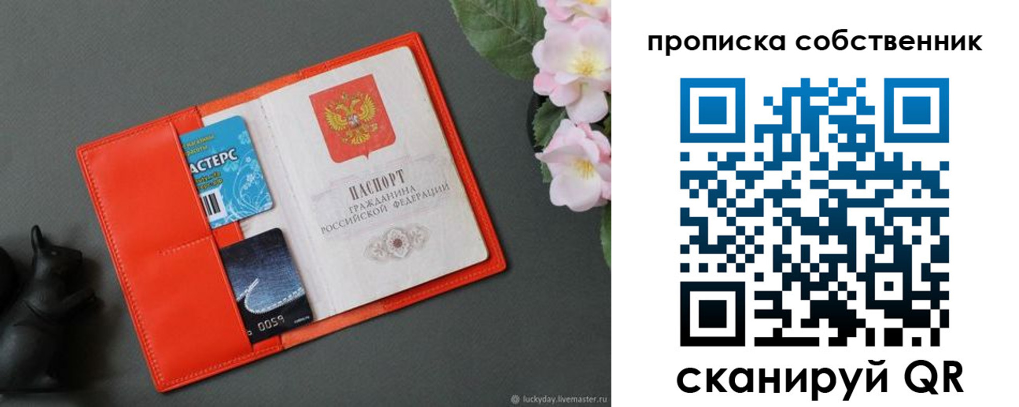прописка для школы в Королёве